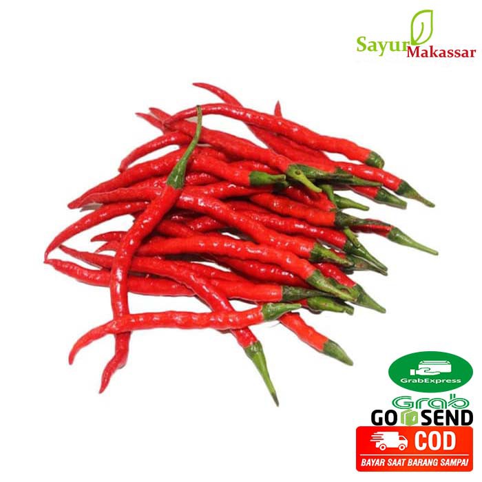 

Cabe Merah Keriting / Lombok Bumbu Dapur Sayur Sayuran Fresh Makassar