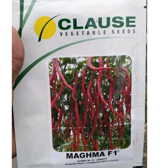 Good Quality benih cabe keriting maghma f1 10 gr