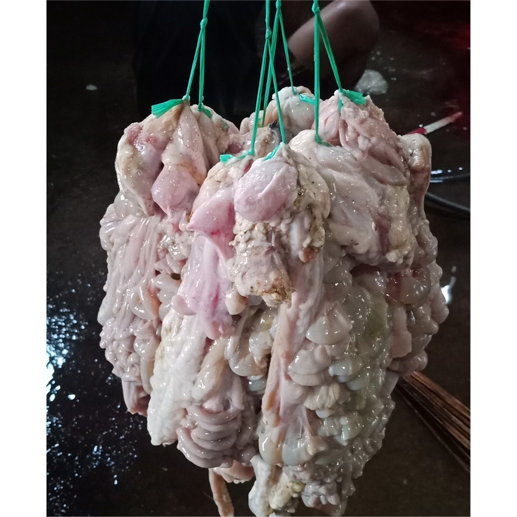 

Jeroan Kambing Muda Campur Bersih 500 gr Jeroan Domba
