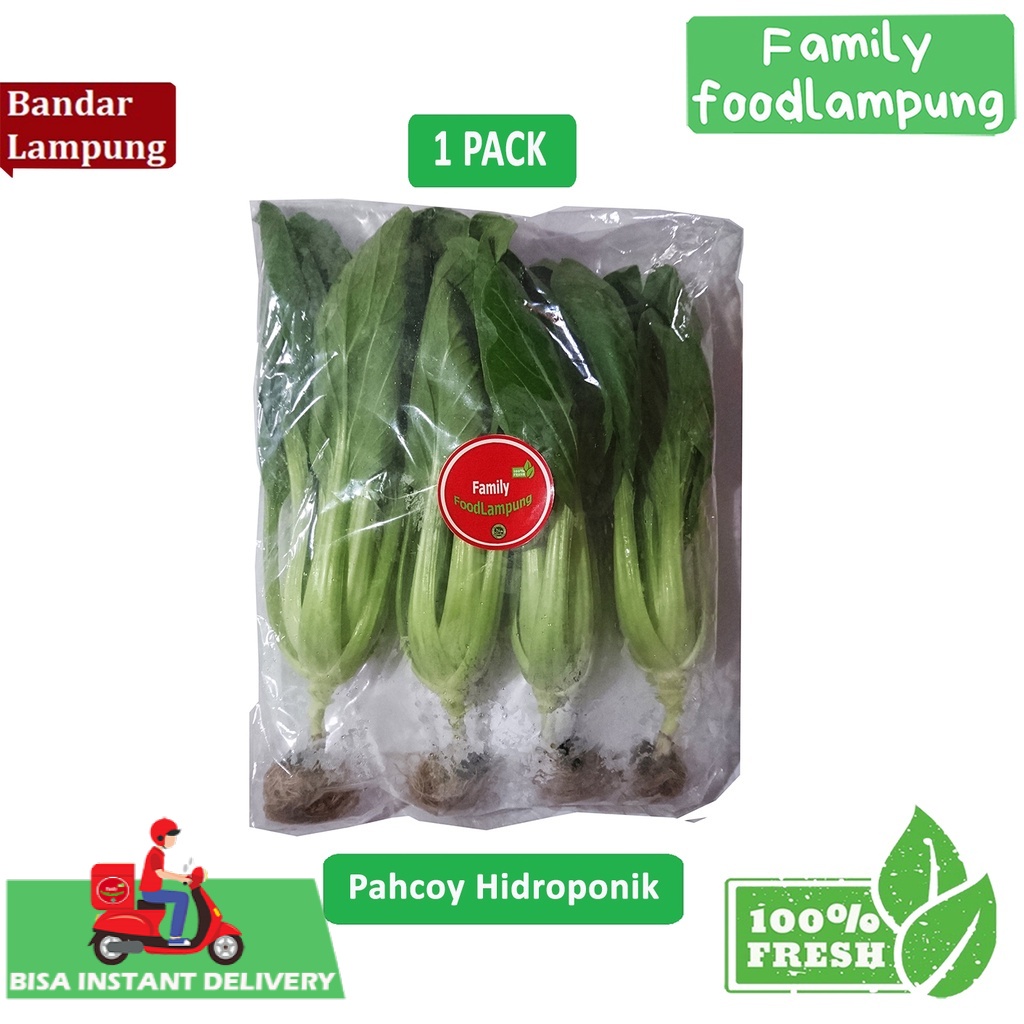 Pakcoy Hidroponik 1 Pack Sayuran Segar Family Food Lampung