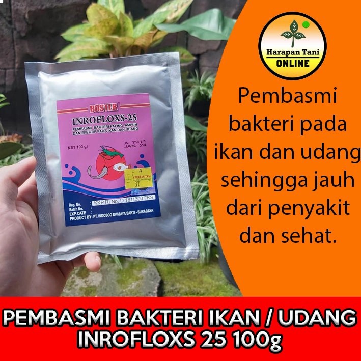Inrofloxs - 25 100g | Enrofloxacin HCl | Pembasmi Bakteri Ikan dan Udang