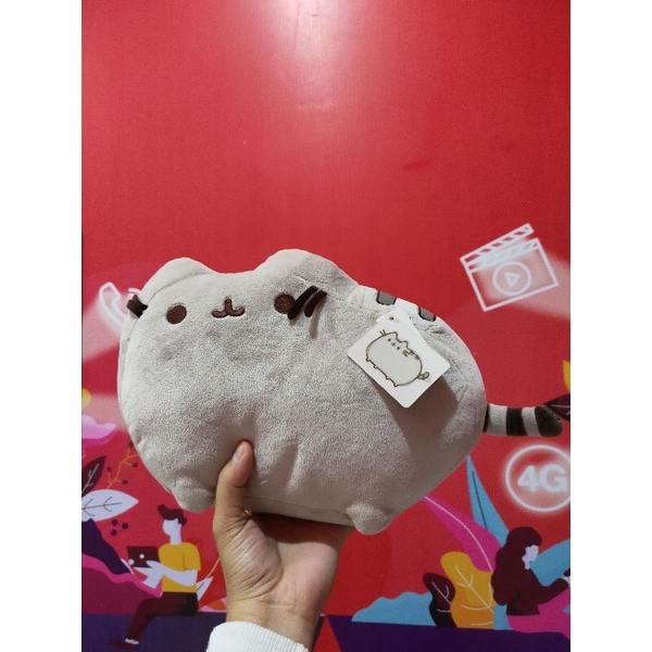 Pusheen