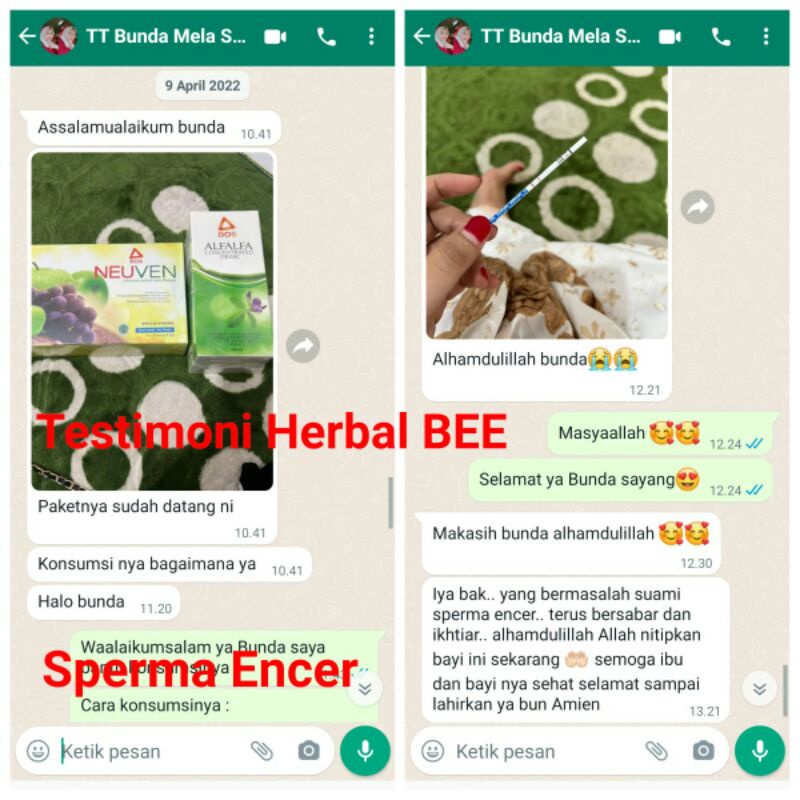 paketstandart || alfalfa neuven