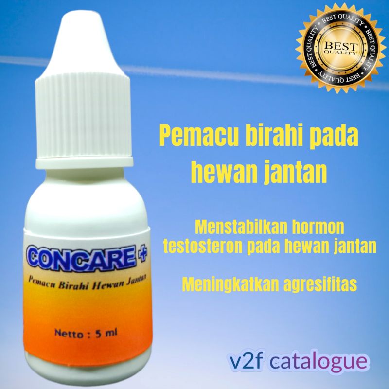 Vitamin penambah birahi kucing dan anjing  jantan