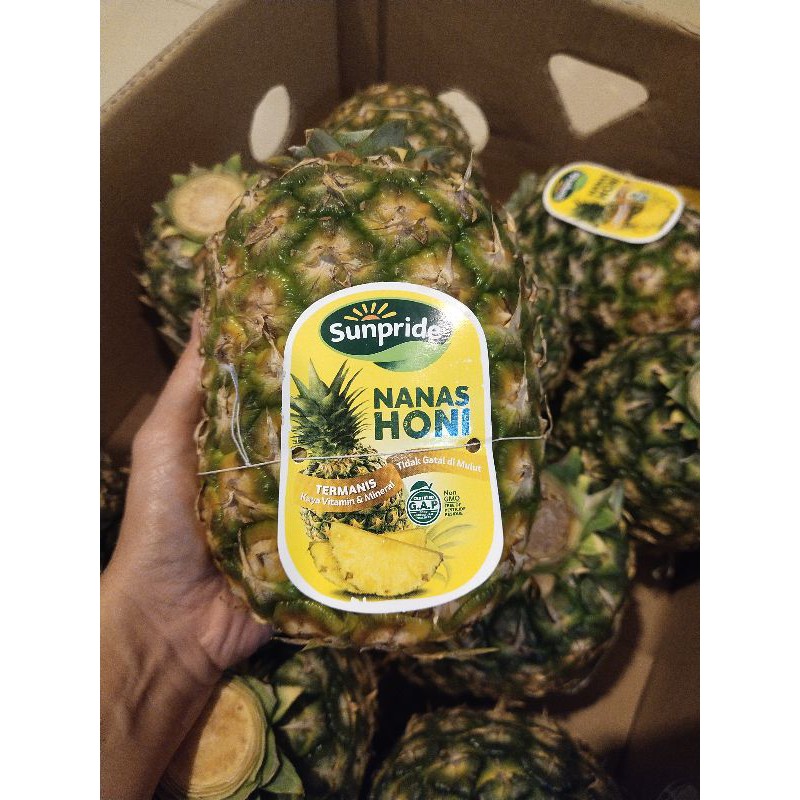 

Nanas Honi sunpride manis