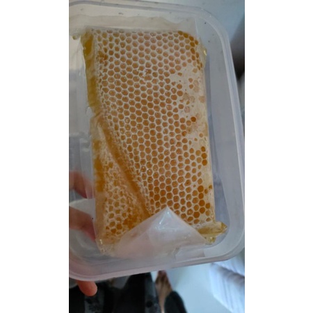 

MADU SARANG/HONEYCOMB 500gr