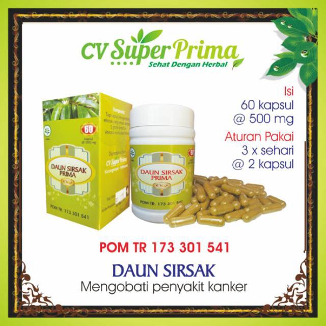 

Kapsul daun Sirsak ekstrak daun sirsak