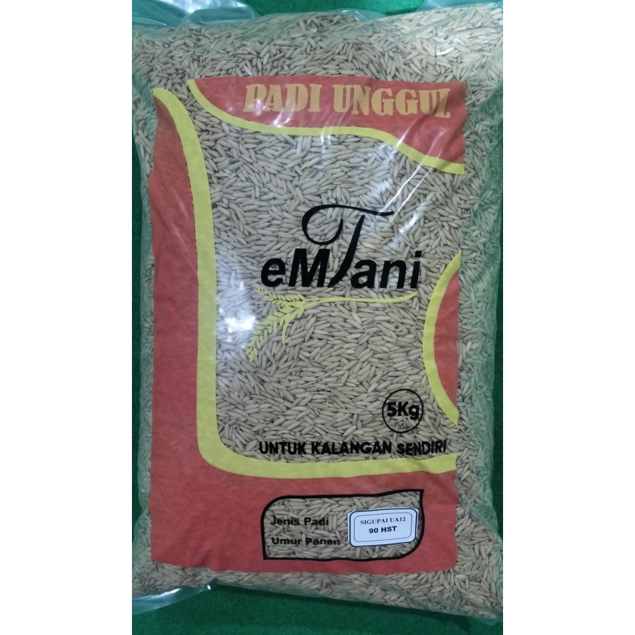 Benih Padi Sigupai (5kg)