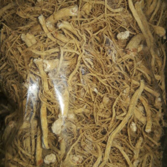 

Akar ginseng 50 gram