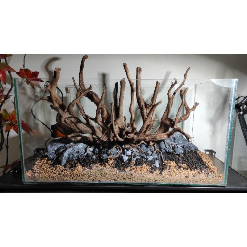 Hardscape Rasamala untuk Aquascape