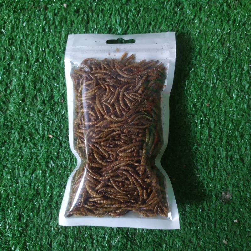 DRIED MEALWORM PROTEIN HAMSTER/GERBIL/SUGARGLIDER/LANDAK FOR DAILY NUTRITION