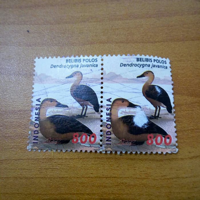 

2 perangko belibis polos 800rp