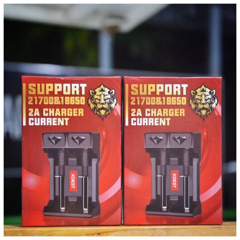 Charger Kdest 2 Slot