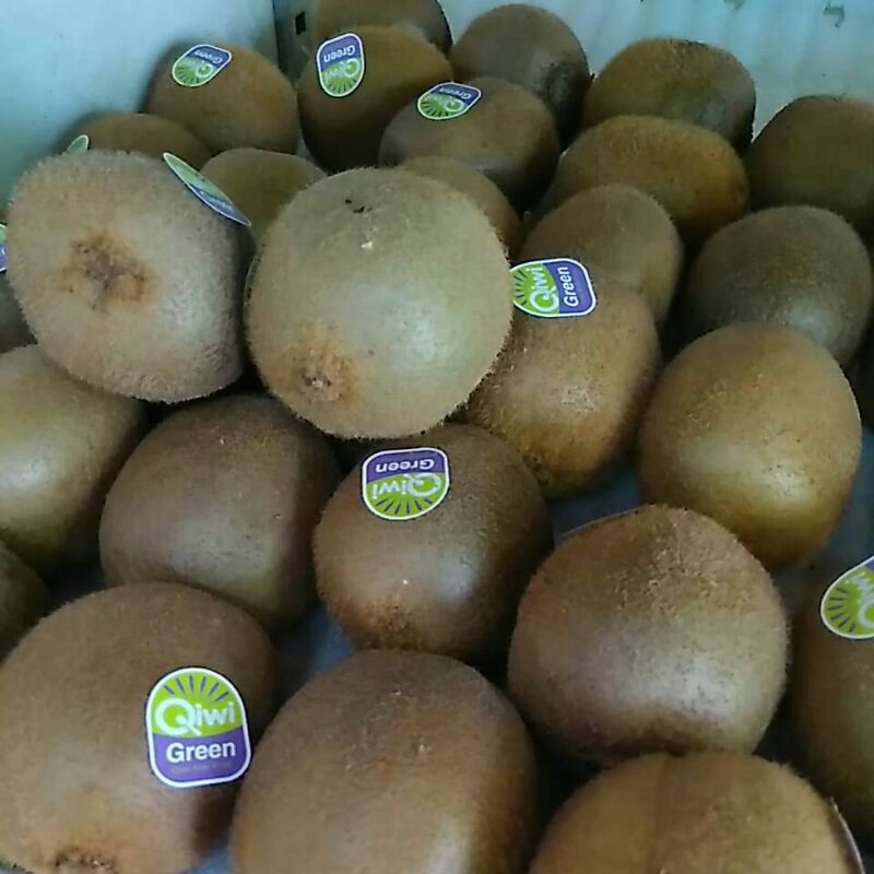 

buah kiwi green kiwi hijau
