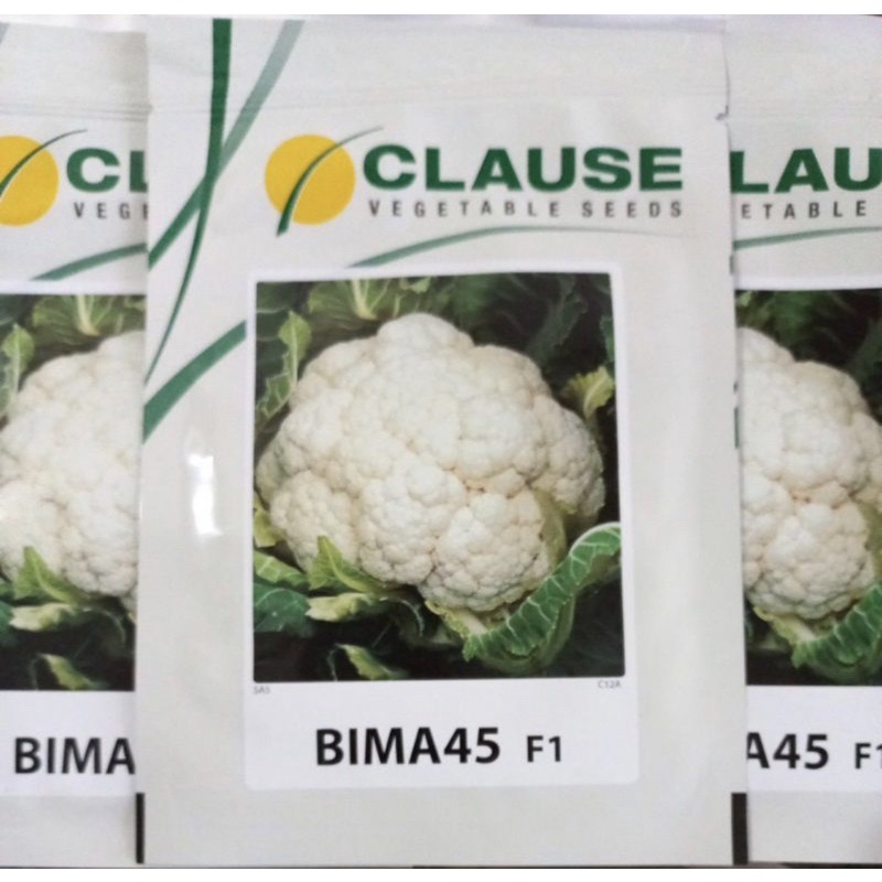Benih Kembang Kol Hibrida BIMA 45 F1 Isi 10gr