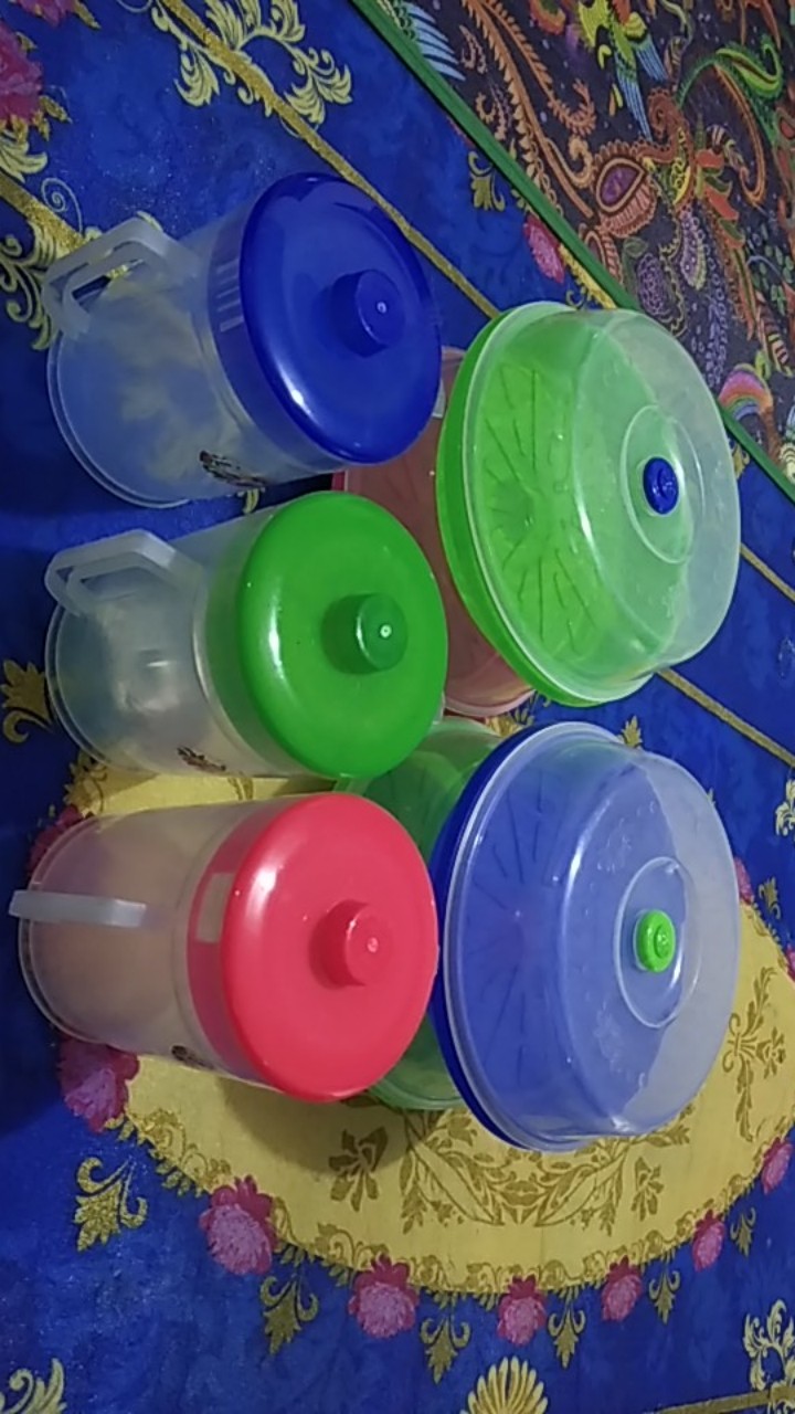 3 Pcs Teko Air Minum 1000ml / 1 Liter | Eskan Mini