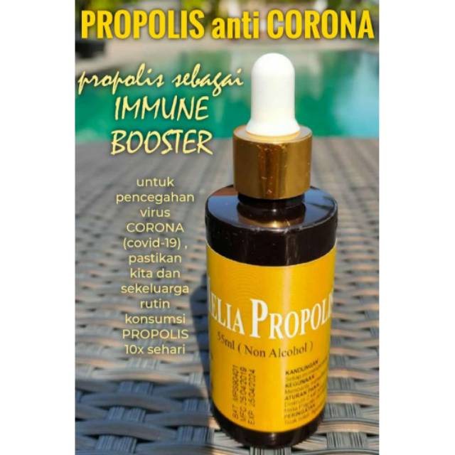 MELIA PROPOLIS ASLI