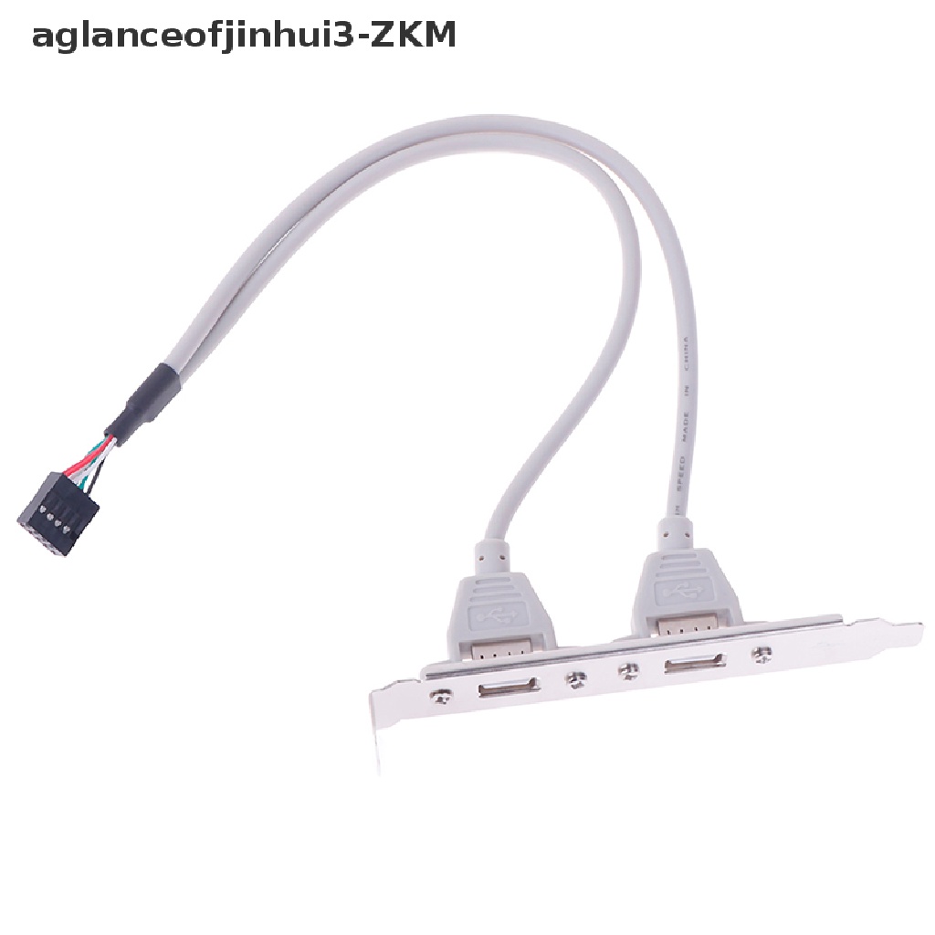 1 Pc Bracket Adapter Expansion Panel Belakang 2 Port USB 2.0 Ke Motherboard Header