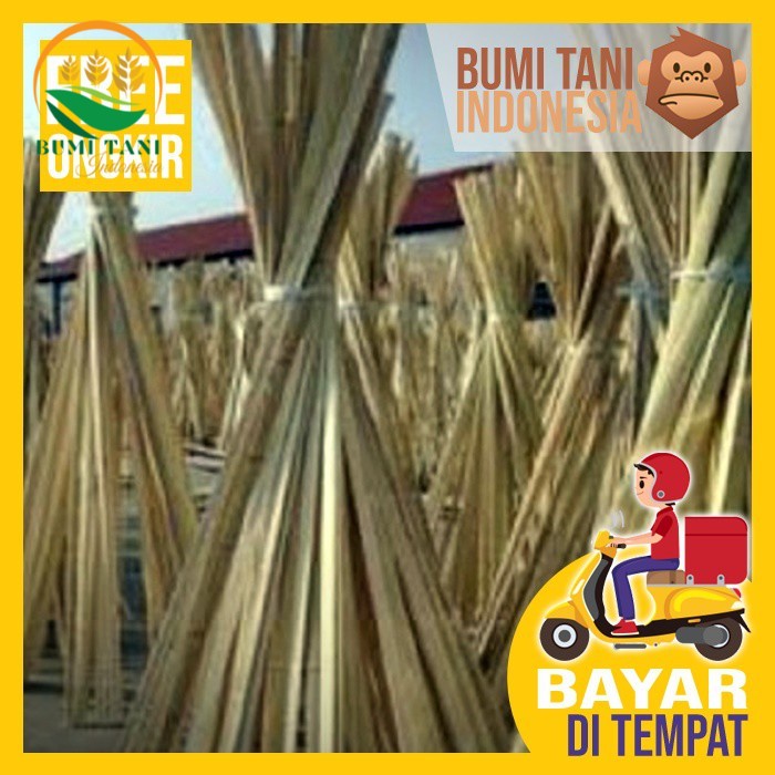 Batang Bilah Bambu - Untuk Ajir Tanaman dan Stake Plant Penyangga Tanaman Hias Alas Kandang Pagar