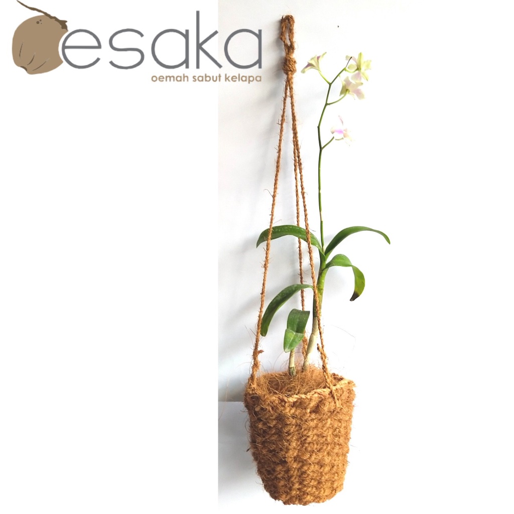 oesaka dekorasi taman pot gantung anggrek tanaman hias sabut kelapa ramah lingkungan vintage