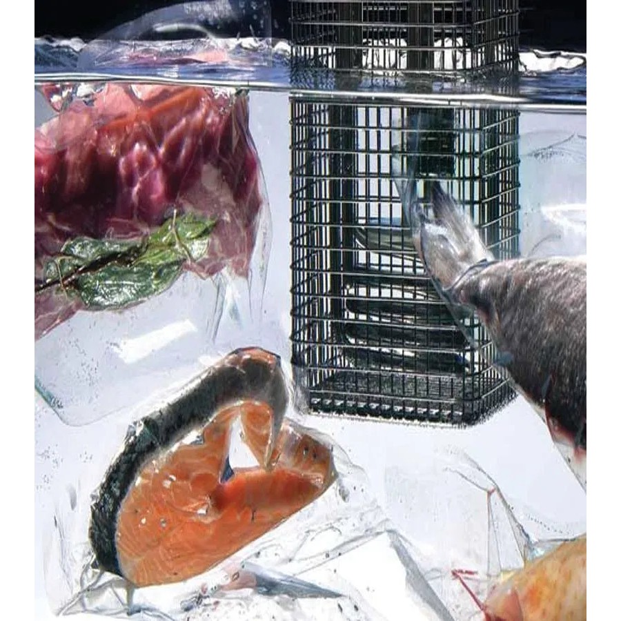 FreshpackPro 25CM X 35CM Plastik Vacuum Vacum / Sealer Packing Bag Embos / Embossed Food Grade 100Pcs