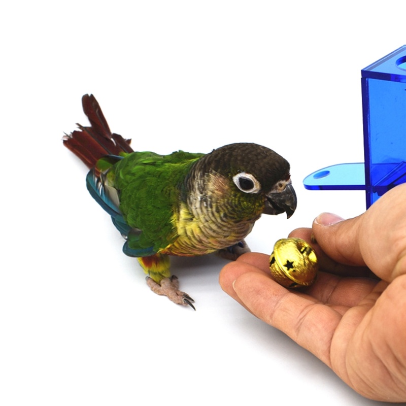 Mainan Kotak Akrilik Bening Dengan Lonceng Logam Untuk Burung Beo
