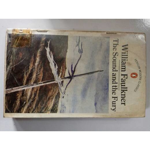 WILLIAM FAULKNER: THE SOUND AND THE FURY