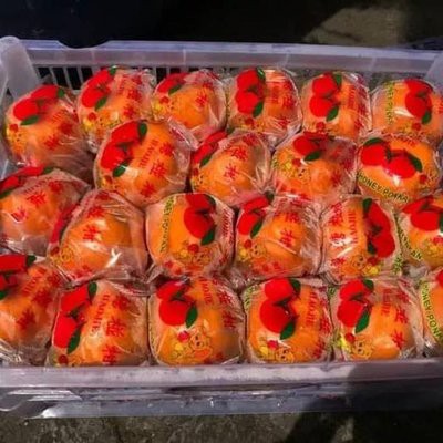 

JERUK PONKAM MANDARIN 9 KG
