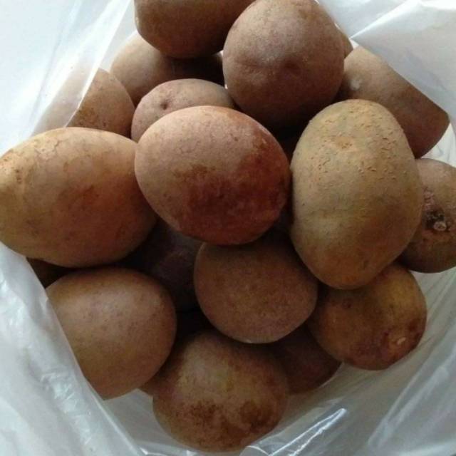 

Buah Sawo Matang Segar dan Sehat Paket 3 kg Rp. 52.000