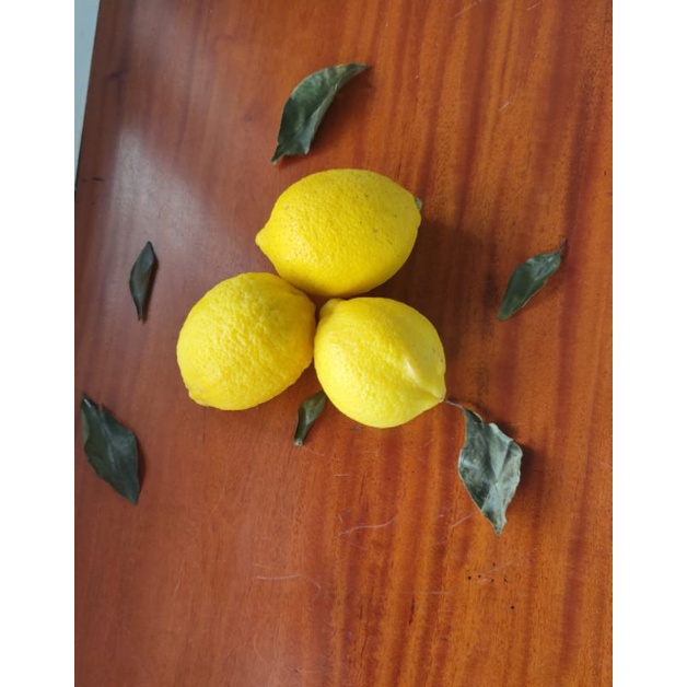 

Lemon Import