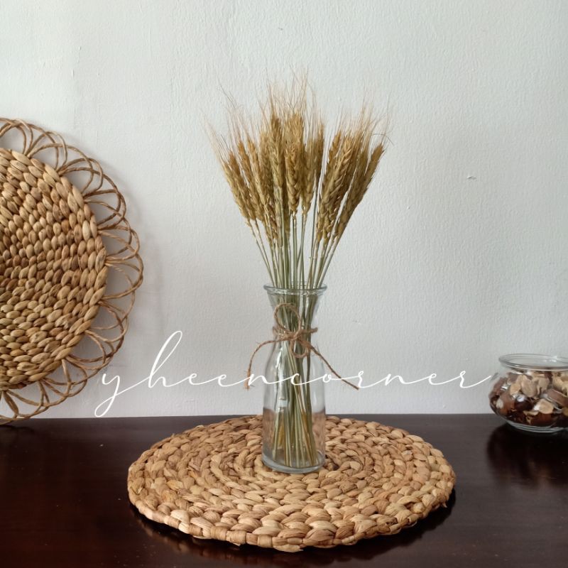 Dried Flower Wheat Bunga Kering Gandum Import