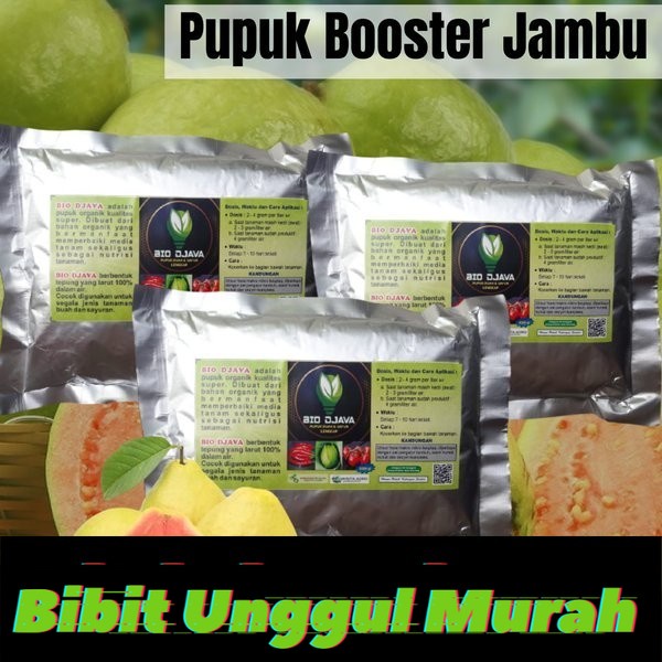 Pupuk Organik Booster Jambu Kristal Agar Cepat Berbuah Lebat