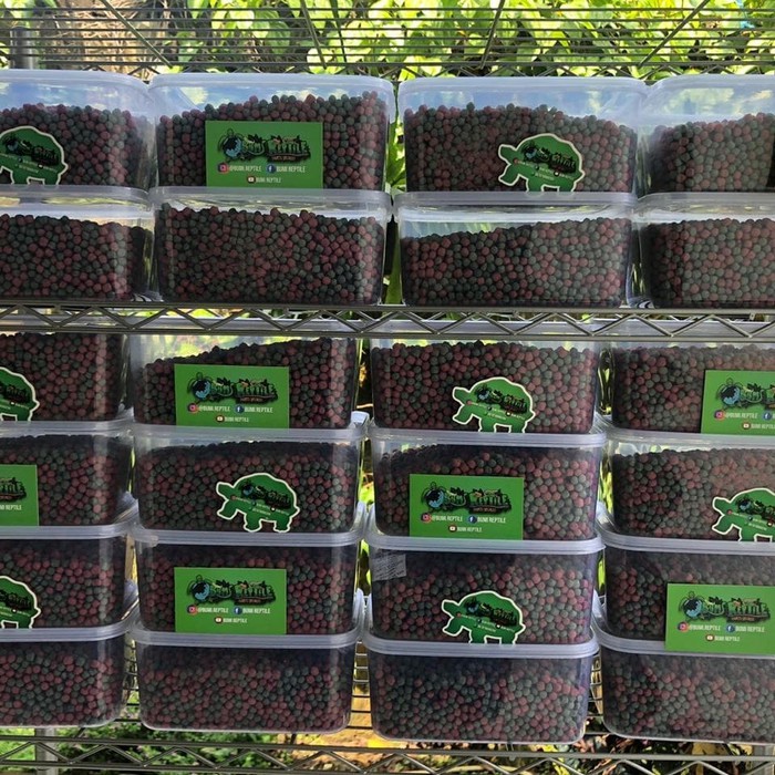 PELET KHUSUS TORTOISE KURA DARAT | Sulcata aldabra pardalis dll