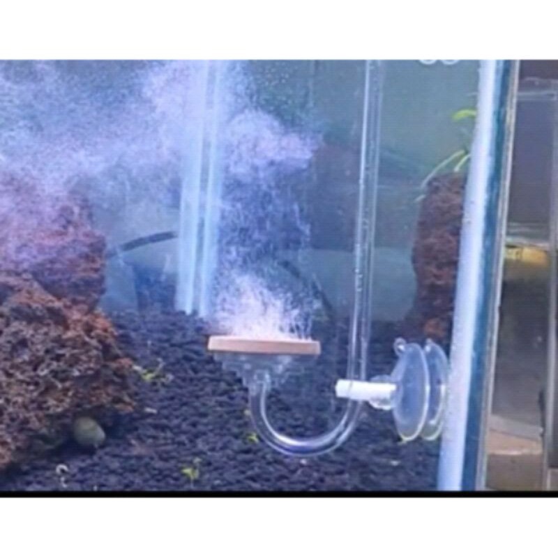 ULTIMA DIFFUSER CO2 SIZE XL/ Diffuser Co2 Diy / Diffuser Co2 Aquascape