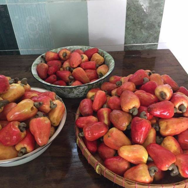 

Biji Mete mentah (buat cemilan)