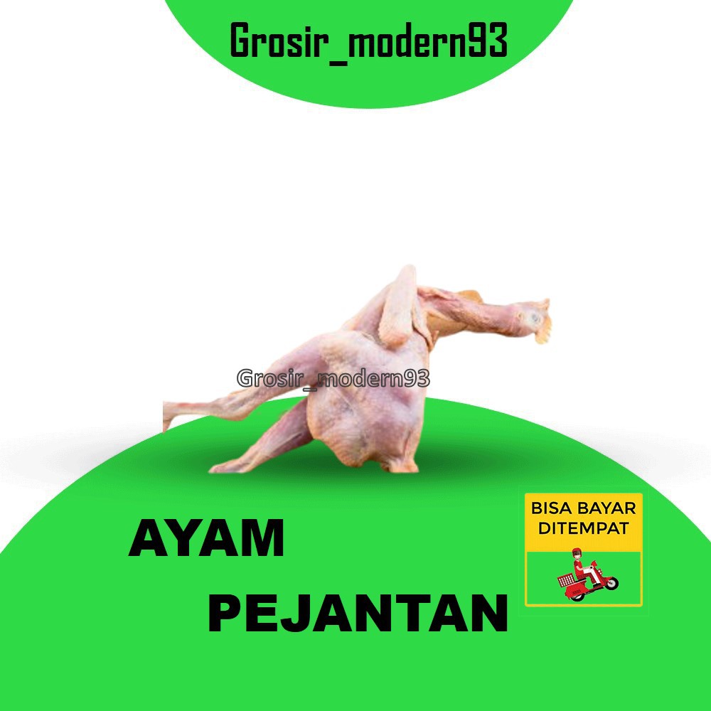 

AYAM PEJANTAN 1 EKOR