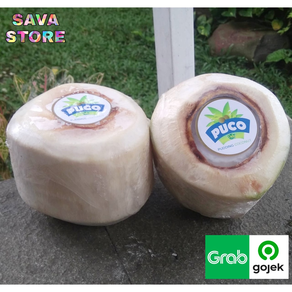 Puding Kelapa Muda Asli PUCO Ala Thailand PUDDING COCONUT by Daily Food