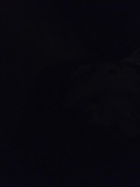 Keranjang Belanja / Troli / Trolley Basket Rovega Bas-01 Biru