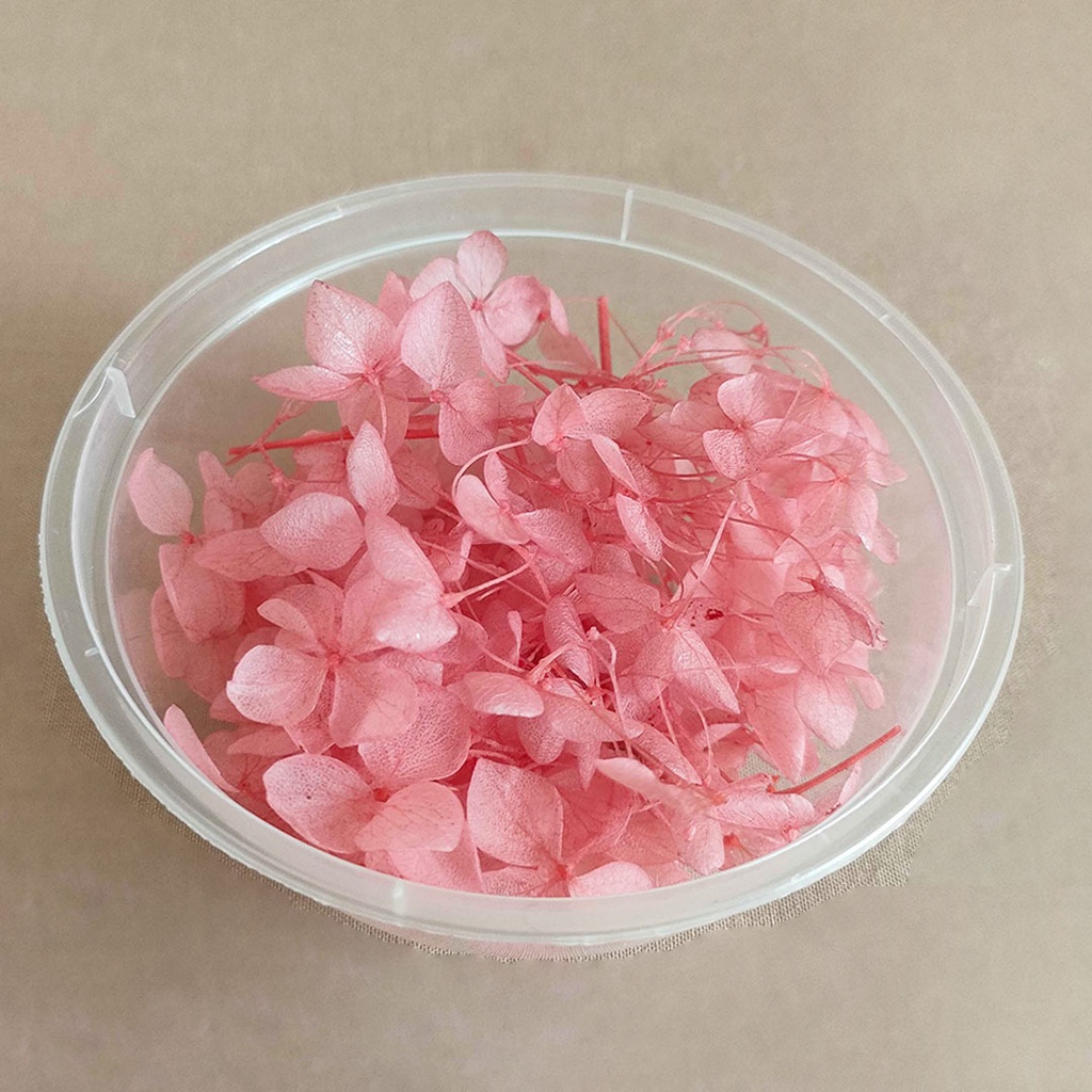 (2gr) Preserved Hydrangea Dried Awetan Bunga Kering Preserved Flower Dried Flower Bunga kering Aesthetic mini dekorasi