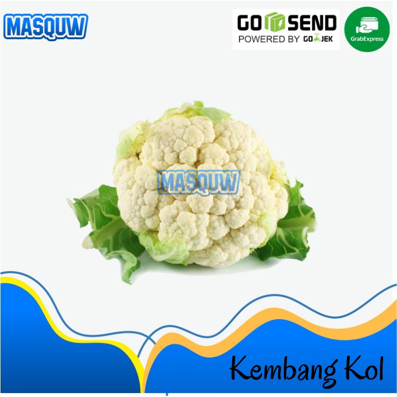 

Kembang Kol 500 gram - 1 Kg Sidoarjo Masquw