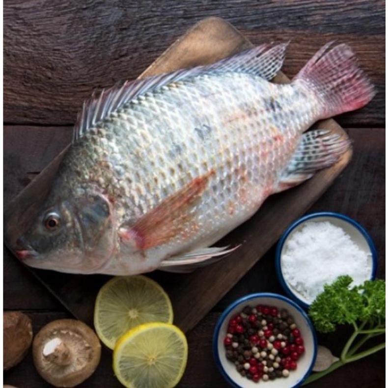 

Ikan mujair segar