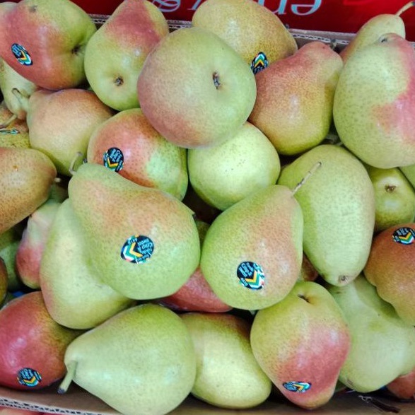 

BUAH PEAR FORELLE / PIR FORELLI IMPORT FRESH (1KG)