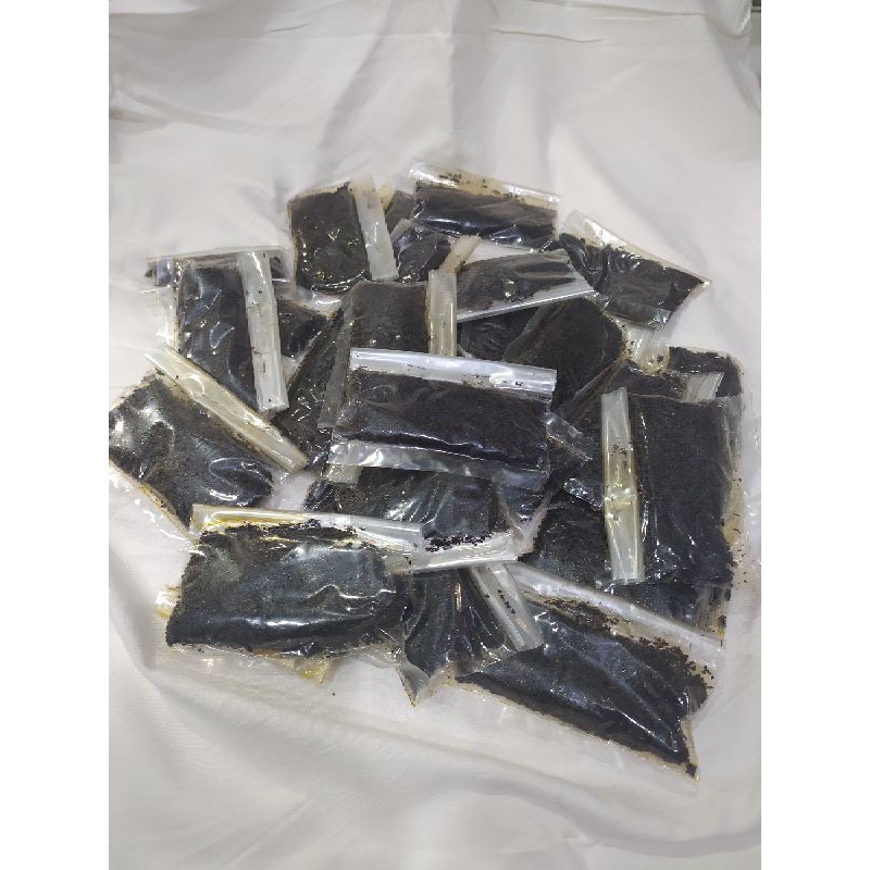 DUPA SUPER PEKALONGAN/UKUP WANGI PEKALONGAN/LULUR PEKALONGAN HOME MADE | Dupa Arab/Dupa Pekalongan