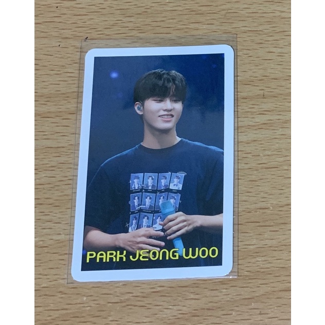 Random Photocard pc Jeongwoo Treasure teuday kit rpc uwoo park jeongwoo