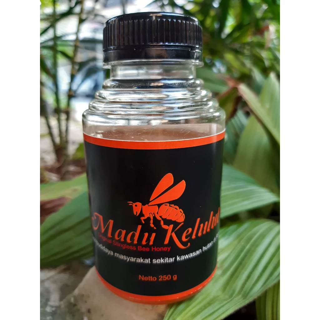

Madu Kelulut