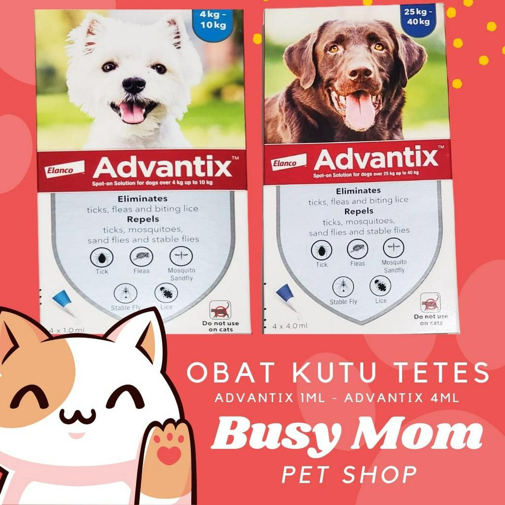 Obat Tetes Kutu Anjing Advantix 1ml dan 4ml