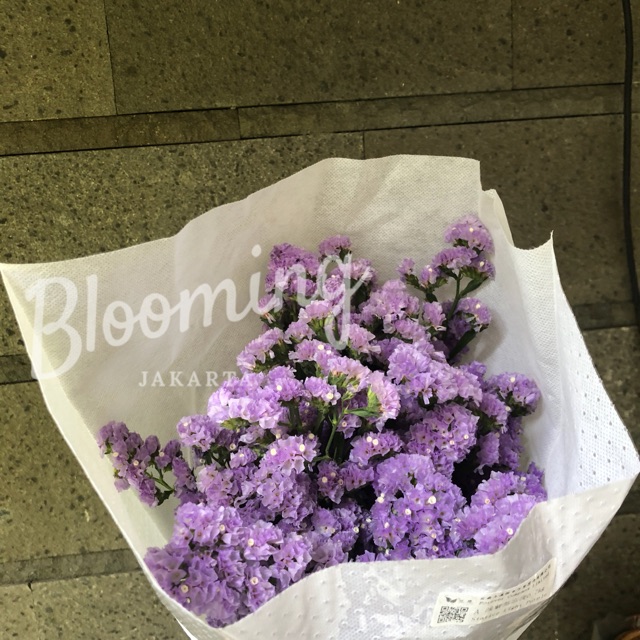 Fresh & Dried Caspea Statice Flower (import china)