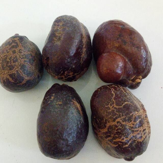 

Buah zuriat 3 pcs #jastipjeddah