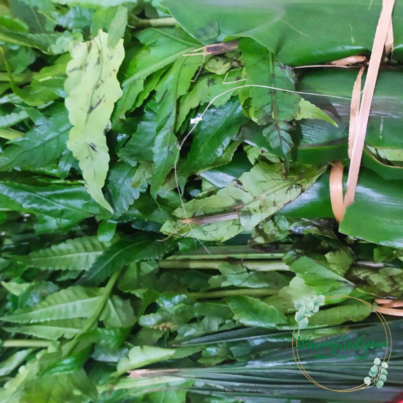 

Daun Pakis Segar per ikat besar Daun untuk Sayur Padang