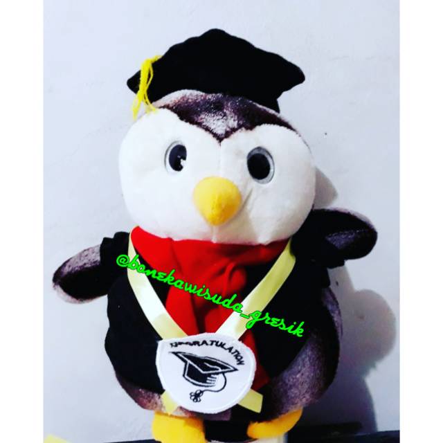 Boneka Wisuda Owl / Burung hantu